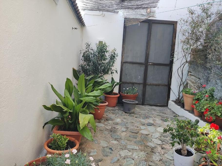 Casa En El Valle De Guainosaltos Adra Exterior foto
